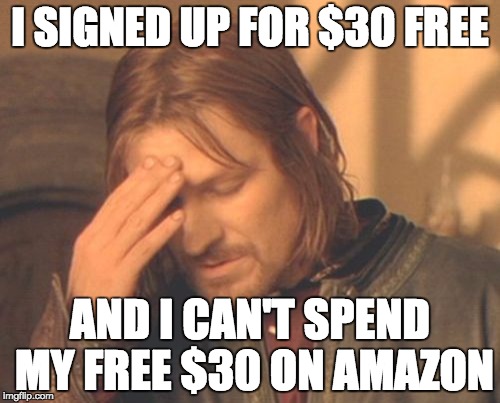 Frustrated Boromir Meme | I SIGNED UP FOR $30 FREE; AND I CAN'T SPEND MY FREE $30 ON AMAZON | image tagged in memes,frustrated boromir | made w/ Imgflip meme maker