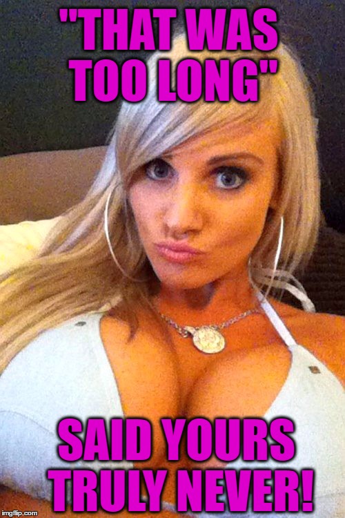 "THAT WAS TOO LONG" SAID YOURS TRULY NEVER! | image tagged in cleavage | made w/ Imgflip meme maker