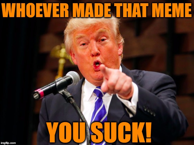 trump point | WHOEVER MADE THAT MEME YOU SUCK! | image tagged in trump point | made w/ Imgflip meme maker