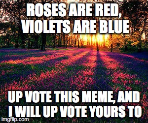 roses are red | ROSES ARE RED, VIOLETS ARE BLUE; UP VOTE THIS MEME, AND I WILL UP VOTE YOURS TO | image tagged in roses are red | made w/ Imgflip meme maker