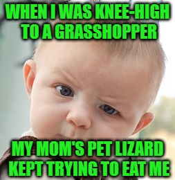 Skeptical Baby Meme | WHEN I WAS KNEE-HIGH TO A GRASSHOPPER MY MOM'S PET LIZARD KEPT TRYING TO EAT ME | image tagged in memes,skeptical baby | made w/ Imgflip meme maker