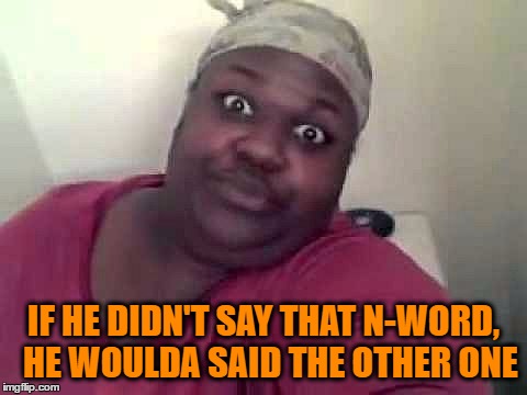 IF HE DIDN'T SAY THAT N-WORD,  HE WOULDA SAID THE OTHER ONE | made w/ Imgflip meme maker