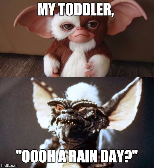 When You Think You're Getting Gizmo But There Stripe In Disguise | MY TODDLER, "OOOH A RAIN DAY?" | image tagged in when you think you're getting gizmo but there stripe in disguise | made w/ Imgflip meme maker