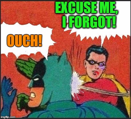 Robin slaps | EXCUSE ME,  I FORGOT! OUCH! | image tagged in robin slaps | made w/ Imgflip meme maker