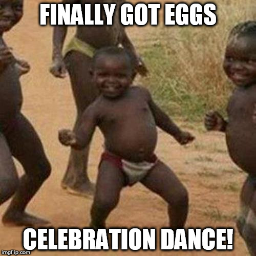 Third World Success Kid Meme | FINALLY GOT EGGS; CELEBRATION DANCE! | image tagged in memes,third world success kid | made w/ Imgflip meme maker
