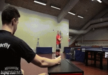 video to gif maker crack video to gif maker crack