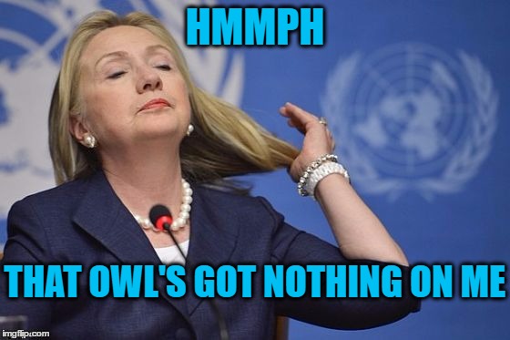 Hillary | HMMPH THAT OWL'S GOT NOTHING ON ME | image tagged in hillary | made w/ Imgflip meme maker
