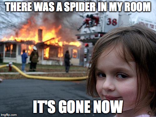 Disaster Girl Meme | THERE WAS A SPIDER IN MY ROOM; IT'S GONE NOW | image tagged in memes,disaster girl | made w/ Imgflip meme maker