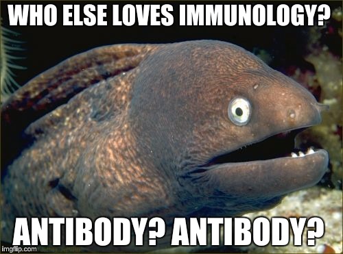 Bad Joke Eel Meme | WHO ELSE LOVES IMMUNOLOGY? ANTIBODY? ANTIBODY? | image tagged in memes,bad joke eel | made w/ Imgflip meme maker