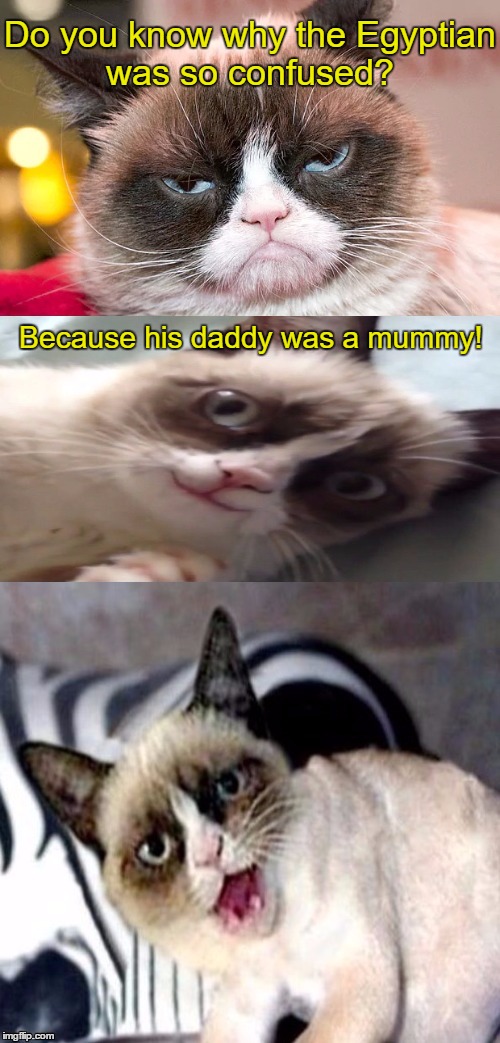 Bad Pun Grumpy Cat | Do you know why the Egyptian was so confused? Because his daddy was a mummy! | image tagged in bad pun grumpy cat,grumpy cat,memes | made w/ Imgflip meme maker