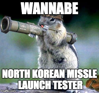 Bazooka Squirrel Meme | WANNABE; NORTH KOREAN MISSLE LAUNCH TESTER | image tagged in memes,bazooka squirrel | made w/ Imgflip meme maker
