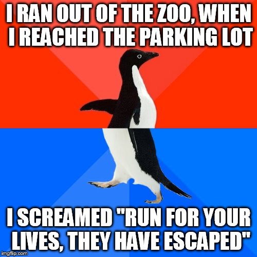 Socially Awesome Awkward Penguin | I RAN OUT OF THE ZOO, WHEN I REACHED THE PARKING LOT; I SCREAMED "RUN FOR YOUR LIVES, THEY HAVE ESCAPED" | image tagged in memes,socially awesome awkward penguin | made w/ Imgflip meme maker