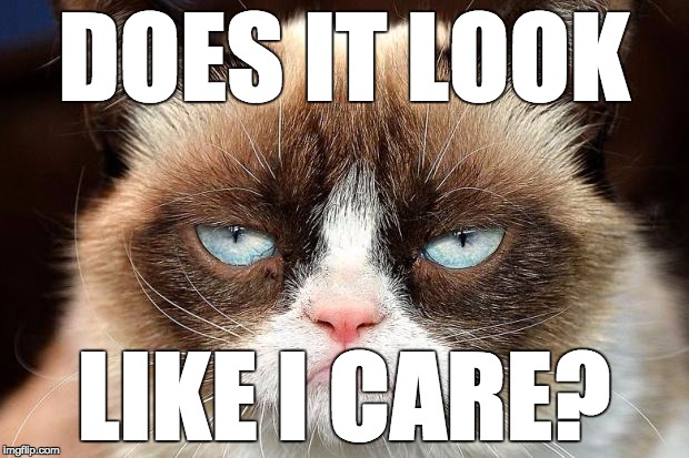 Not Interested. | DOES IT LOOK; LIKE I CARE? | image tagged in memes,grumpy cat not amused,grumpy cat | made w/ Imgflip meme maker