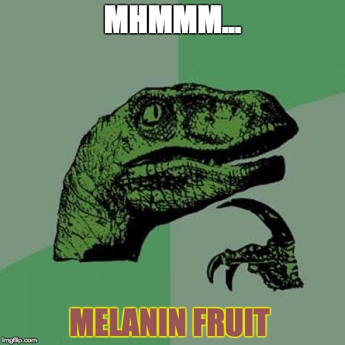 Philosoraptor Meme | MHMMM... MELANIN FRUIT | image tagged in memes,philosoraptor | made w/ Imgflip meme maker
