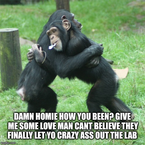 Reunited  | DAMN HOMIE HOW YOU BEEN? GIVE ME SOME LOVE MAN CANT BELIEVE THEY FINALLY LET YO CRAZY ASS OUT THE LAB | image tagged in homies,buddies,memes | made w/ Imgflip meme maker