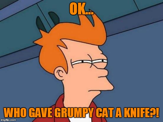 Futurama Fry Meme | OK... WHO GAVE GRUMPY CAT A KNIFE?! | image tagged in memes,futurama fry | made w/ Imgflip meme maker