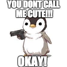 maybe now people should worry about seals more than penguins | YOU DONT CALL ME CUTE!!! OKAY! | image tagged in maybe now people should worry about seals more than penguins | made w/ Imgflip meme maker