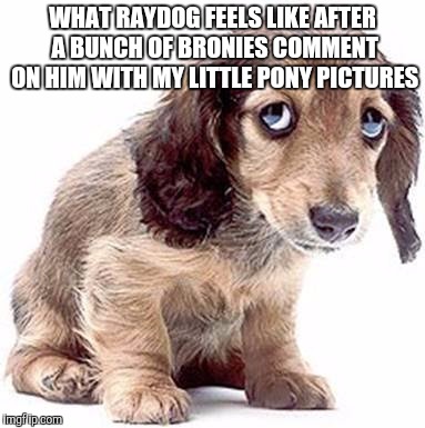 Raydog, you have had bronies  comment with my little pony comments for a long time, it must be exhausting! | WHAT RAYDOG FEELS LIKE AFTER A BUNCH OF BRONIES COMMENT ON HIM WITH MY LITTLE PONY PICTURES | image tagged in sad dog,mlp,raydog,brony,lordcakethief | made w/ Imgflip meme maker