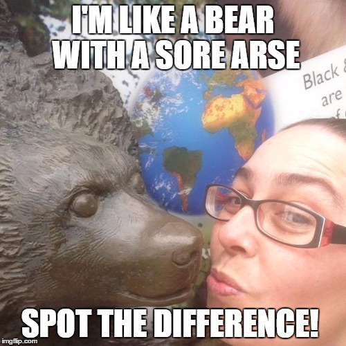 I'M LIKE A BEAR WITH A SORE ARSE; SPOT THE DIFFERENCE! | image tagged in bear sore | made w/ Imgflip meme maker