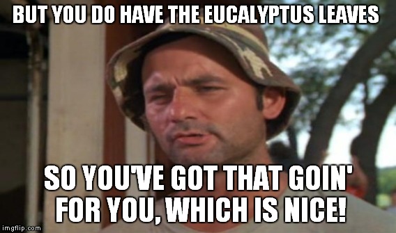 BUT YOU DO HAVE THE EUCALYPTUS LEAVES SO YOU'VE GOT THAT GOIN' FOR YOU, WHICH IS NICE! | made w/ Imgflip meme maker