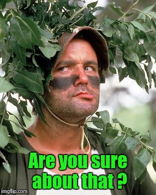 Bill Murray camouflaged | Are you sure about that ? | image tagged in bill murray camouflaged | made w/ Imgflip meme maker