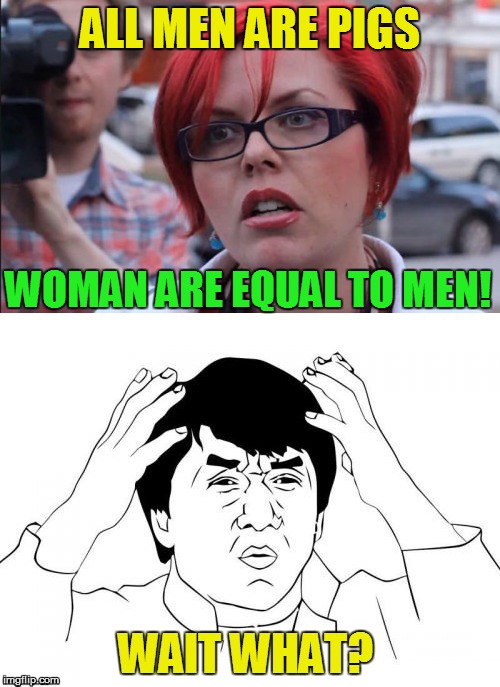 ALL MEN ARE PIGS; WOMAN ARE EQUAL TO MEN! | made w/ Imgflip meme maker
