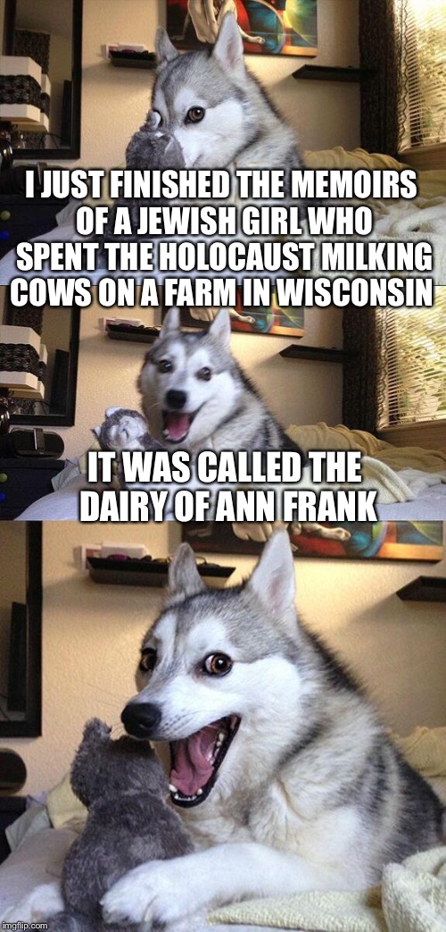 Udderly ridiculous |  I JUST FINISHED THE MEMOIRS OF A JEWISH GIRL WHO SPENT THE HOLOCAUST MILKING COWS ON A FARM IN WISCONSIN; IT WAS CALLED THE DAIRY OF ANN FRANK | image tagged in memes,bad pun dog,ann frank,diary,dairy farm,cows | made w/ Imgflip meme maker