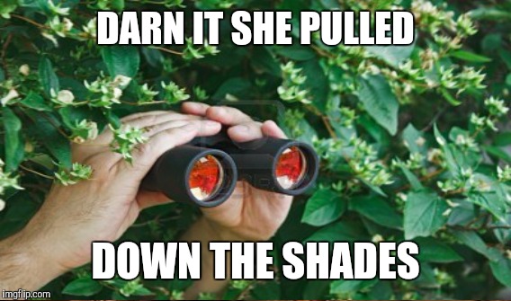 DARN IT SHE PULLED DOWN THE SHADES | made w/ Imgflip meme maker