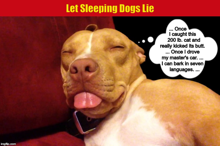 Let Sleeping Dogs Lie | image tagged in let sleeping dogs lie,dogs,pit bull,funny,memes,gary larson cartoon | made w/ Imgflip meme maker