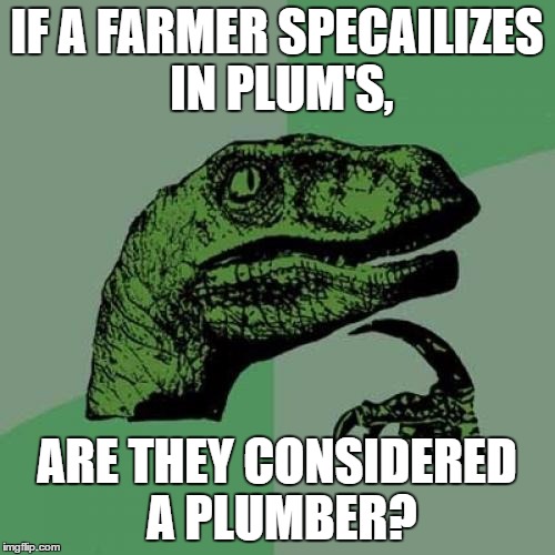 Philosoraptor Meme | IF A FARMER SPECAILIZES IN PLUM'S, ARE THEY CONSIDERED A PLUMBER? | image tagged in memes,philosoraptor | made w/ Imgflip meme maker