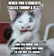 Trump Cat | WHEN YOU STUDENTS CALLS TRUMP A B*****; AND YOU KNOW YOU SHOULD GET MAD, BUT HAVE TO TRY NOT TO LAUGH. | image tagged in trump,kitty,bitch | made w/ Imgflip meme maker