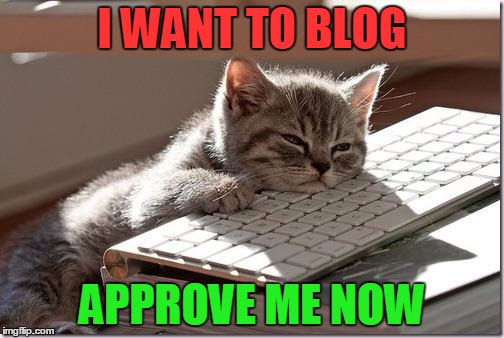 Bored Keyboard Cat | I WANT TO BLOG; APPROVE ME NOW | image tagged in bored keyboard cat | made w/ Imgflip meme maker