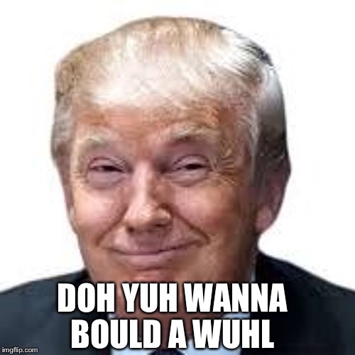 DOH YUH WANNAH BOULD A WUHL | DOH YUH WANNA BOULD A WUHL | image tagged in donladtrumpisadouche | made w/ Imgflip meme maker