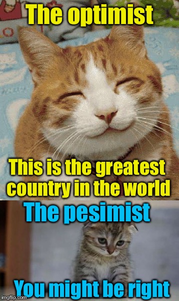 Optimist vs Pesimist | The optimist; This is the greatest country in the world; The pesimist; You might be right | image tagged in optimism | made w/ Imgflip meme maker