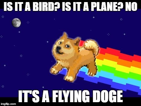 Flying Doge |  IS IT A BIRD? IS IT A PLANE? NO; IT'S A FLYING DOGE | image tagged in doge,funny,memes,meme,flying dog | made w/ Imgflip meme maker