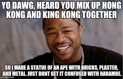 Your everyday gorilla meme.
 | YO DAWG, HEARD YOU MIX UP HONG KONG AND KING KONG TOGETHER; SO I MADE A STATUE OF AN APE WITH BRICKS, PLASTER, AND METAL. JUST DONT GET IT CONFUSED WITH HARAMBE. | image tagged in memes,yo dawg heard you | made w/ Imgflip meme maker