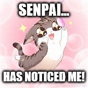 Senpai~ | SENPAI... HAS NOTICED ME! | image tagged in senpai,cats,noob | made w/ Imgflip meme maker