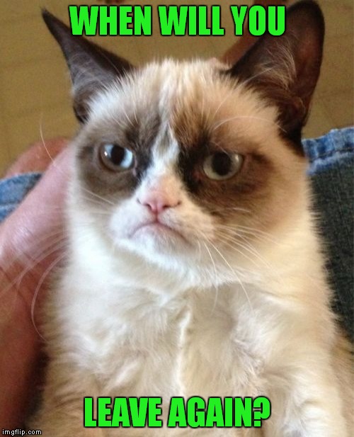 Grumpy Cat Meme | WHEN WILL YOU LEAVE AGAIN? | image tagged in memes,grumpy cat | made w/ Imgflip meme maker