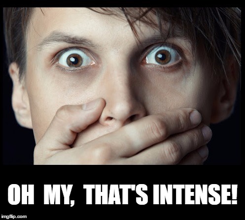 oh my | OH  MY,  THAT'S INTENSE! | image tagged in oh my | made w/ Imgflip meme maker
