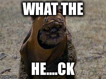 Suprise Ewok | WHAT THE; HE....CK | image tagged in suprise ewok | made w/ Imgflip meme maker