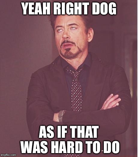 Face You Make Robert Downey Jr Meme | YEAH RIGHT DOG AS IF THAT WAS HARD TO DO | image tagged in memes,face you make robert downey jr | made w/ Imgflip meme maker
