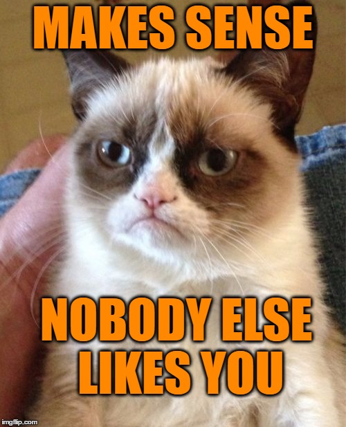 Grumpy Cat Meme | MAKES SENSE NOBODY ELSE LIKES YOU | image tagged in memes,grumpy cat | made w/ Imgflip meme maker