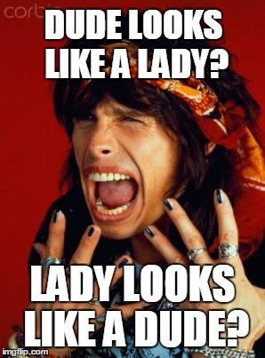 DUDE LOOKS LIKE A LADY? LADY LOOKS LIKE A DUDE? | made w/ Imgflip meme maker