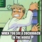 When you see a cockroach in the house | WHEN YOU SEE A COCKROACH IN THE HOUSE | image tagged in pokemon,reactions | made w/ Imgflip meme maker