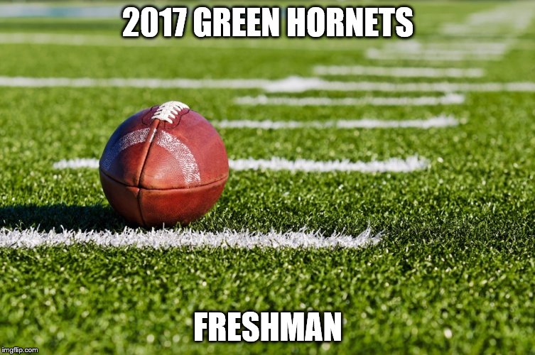 College football  | 2017 GREEN HORNETS; FRESHMAN | image tagged in college football | made w/ Imgflip meme maker