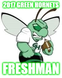 2017 GREEN HORNETS; FRESHMAN | image tagged in green hornets | made w/ Imgflip meme maker