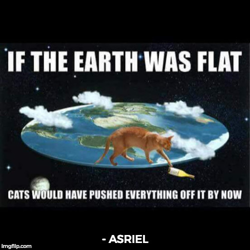 I think my mind has completely blown up to whoever made this meme. | - ASRIEL | image tagged in funny,memes,cats,common sense | made w/ Imgflip meme maker