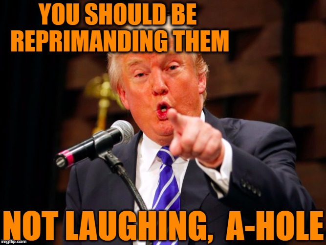 trump point | YOU SHOULD BE REPRIMANDING THEM NOT LAUGHING,  A-HOLE | image tagged in trump point | made w/ Imgflip meme maker