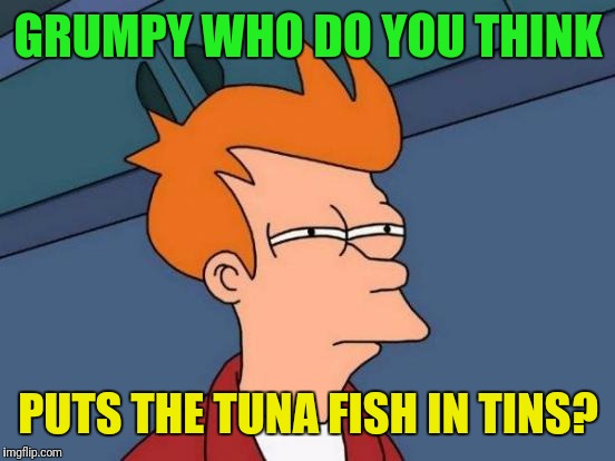 Futurama Fry Meme | GRUMPY WHO DO YOU THINK PUTS THE TUNA FISH IN TINS? | image tagged in memes,futurama fry | made w/ Imgflip meme maker