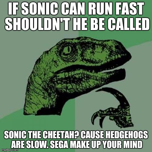 sega | IF SONIC CAN RUN FAST SHOULDN'T HE BE CALLED; SONIC THE CHEETAH? CAUSE HEDGEHOGS ARE SLOW. SEGA MAKE UP YOUR MIND | image tagged in memes,philosoraptor | made w/ Imgflip meme maker